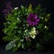 A beautiful bouquet of flowers on a black background. Studio shot. AI-Generated