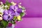 Beautiful bouquet of flowers in lilac basket on purple background with copy space. Orchids, lilies, chamomiles floral floristic