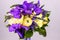 Beautiful bouquet flowers of white Ranunculus, iris purple iris, lupine