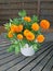 Beautiful bouquet of orange zinia flowers