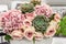 A beautiful bouquet of peony pink roses and large succulent flowers. Selective focus, close-up