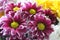 Beautiful bouquet of pink, yellow,and white daisies set near window
