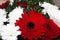 A beautiful bouquet of red gerberas, roses and white asters is a background