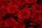 Beautiful bouquet of red roses, seen from above. Spring flowers. Wedding, women`s day, mothers day and valentines day background.