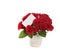 Beautiful Bouquet of Roses With Blank Message Sign