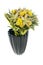 Beautiful bouquet with Sansevieria and succulent