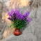 beautiful bouquet summer flowers of Ivan-tea or blooming Sally in rays evening sun. Medicinal plant willow-grass in a vase