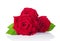 Beautiful bouquet of three velvet red roses