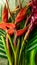 Beautiful bouquet of tropical exotic flowers. Close-up shot of Heliconia rostrata floral arrangement from rainforest or garden.