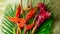 Beautiful bouquet of tropical exotic flowers. Close-up shot of Heliconia rostrata floral arrangement from rainforest or garden.