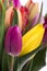 Beautiful bouquet of tulips close up