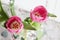 Beautiful bouquet of tulips. Glass vase. Pink tulips. Postcard.