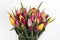 Beautiful bouquet of tulips at white background