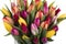 Beautiful bouquet of tulips at white background