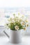 Beautiful bouquet of white wild daisies in a white watering can.