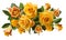 Beautiful bouquet of yellowish orange roses isolated on white background