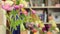 Beautiful bouquets of colorful spring flowers close up