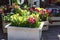 Beautiful bouquets of flowers on the market. Showcase with flowers. Sale of flowers. Flower shop.