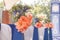 Beautiful bouquets of hippeastrums and petals on blue pedestals