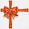 Beautiful bow with crosswise ribbons