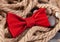 Beautiful bow tie