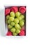 Beautiful boxed Shine Muscat green grape isolated on white background