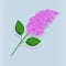 The beautiful branch of blooming lilacs on blue background, eps 10. Contains transparent objects.