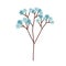 Beautiful branch of blossomed spring forget me not flowers with soft gentle buds. Romantic blooming floral element with