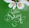 Beautiful branch of a blossoming tree close-up and text Hello Spring. Calligraphy lettering