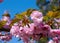 Beautiful branch with pink sakura blossoms on blue sky background