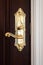 Beautiful brass doorknob on a richly stained wooden door