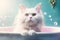 Beautiful breed cat in luxury bath. Grooming concept. Free Space