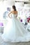 Beautiful bride in a magnificent white wedding dress of tulle with a corset