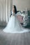 Beautiful bride in a magnificent white wedding dress of tulle with a corset shooted back