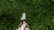 Beautiful bride is riding on a swing. wedding in the rain.