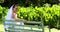 Beautiful bride smiling at camera sitting on bench