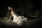 Beautiful bride in strapless vintage wedding dress reclining next to a courtyard fountain