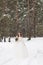 Beautiful bride in a white dress with a bouquet in a snow-covered winter forest. Portrait of the bride in nature