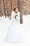 Beautiful bride. Winter wedding