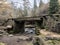 beautiful bridge in the forest