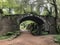 beautiful bridge in the forest