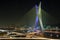 Beautiful bridge in Sao Paulo