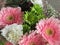 Beautiful Bright & Attractive Light Pink Gerbera Daisy Bouquet