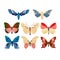 Beautiful bright and colorful butterflys in trendy color 2020