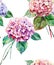 Beautiful bright elegant autumn wonderful colorful tender gentle pink herbal floral hydrangea flowers