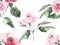 Beautiful bright elegant wonderful colorful tender gentle pink spring herbal rose with buds and green leaves pattern watercolor ha