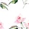 Beautiful bright elegant wonderful colorful tender gentle pink spring herbal rose with buds and green leaves pattern watercolor ha