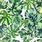 Beautiful bright green tropical wonderful hawaii floral herbal summer pattern of a monstera palms