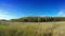 Beautiful, bright landscape - the wood behind a meadow