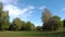 Beautiful, bright landscape - the wood behind a meadow